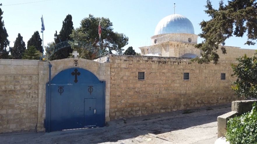 (w882) 9 capsule comp