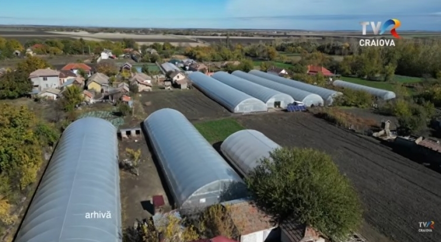 (w882) â€œSatul m