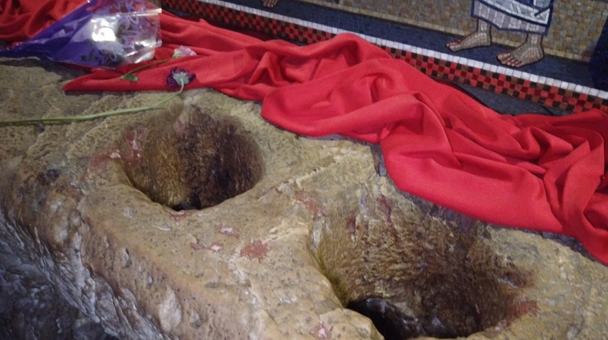 (w882) 22 capsule com