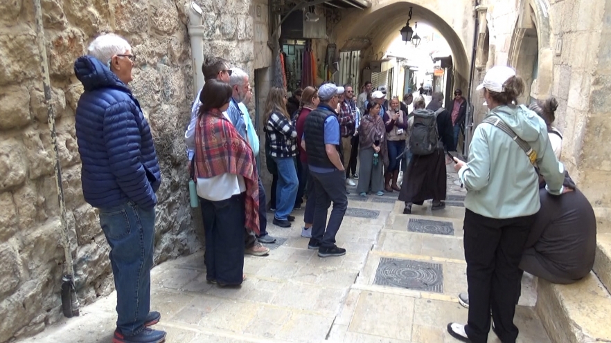 (w882) 24 capsule com