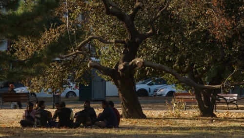 Cercetătorul Anatolie Coșciug: Un caz Mailat ar putea apărea și în România. Nesancționarea discursului extremist duce la bagatelizare 