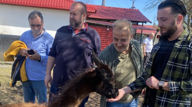 Brăila, oraşul care ştie să râdă. Duminică, la „Exclusiv în România”