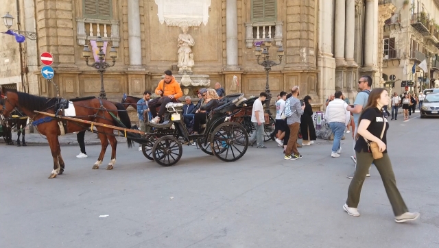 Palermo / TVR