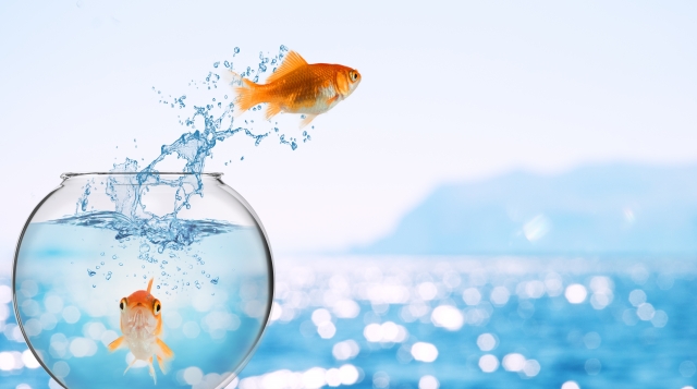 Horoscopul zilei de 22 aprilie