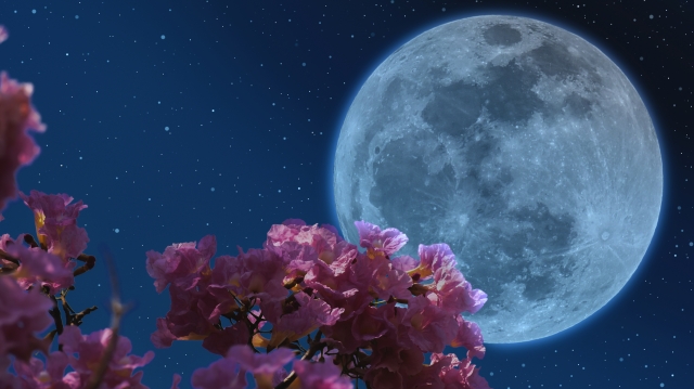 Horoscopul zilei de 1 mai