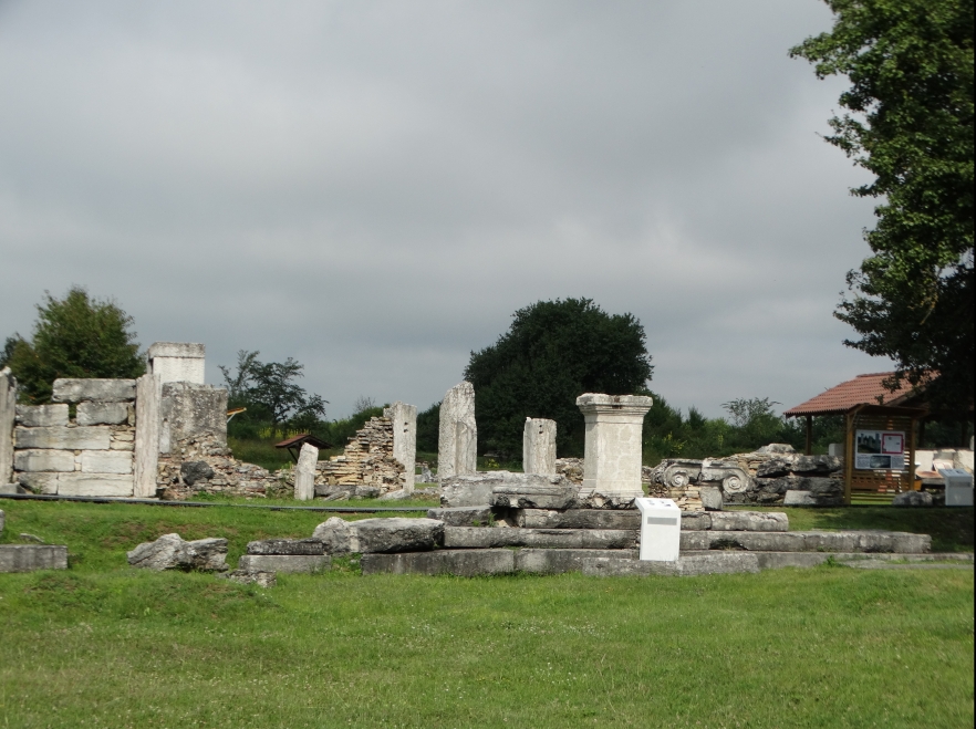 (w882) comprimat cu 6 capsule