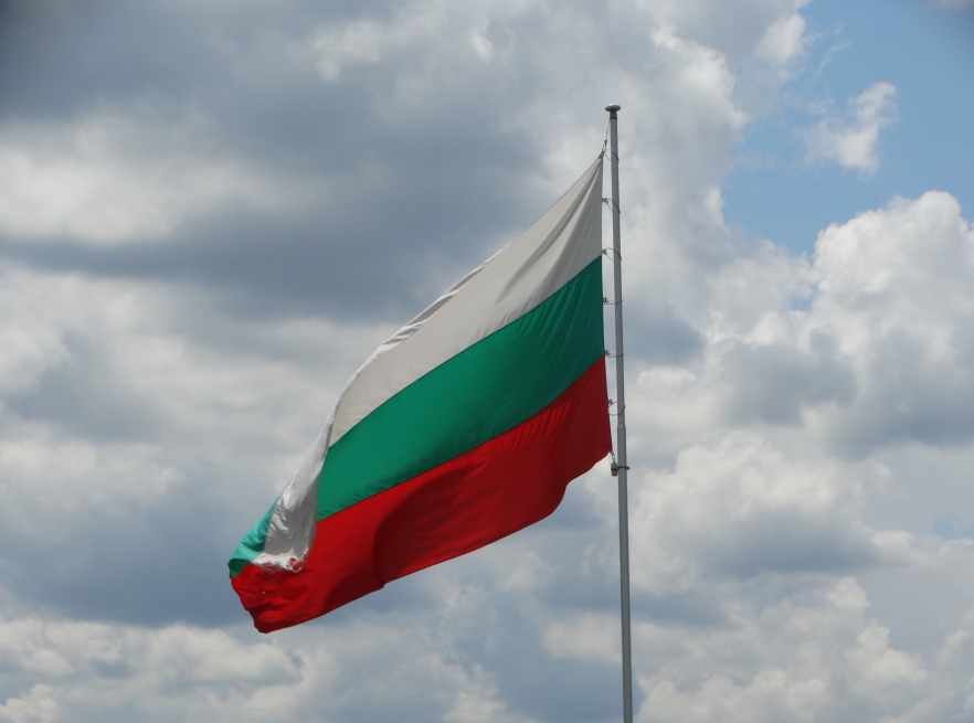 (w882) 5 capsule comp