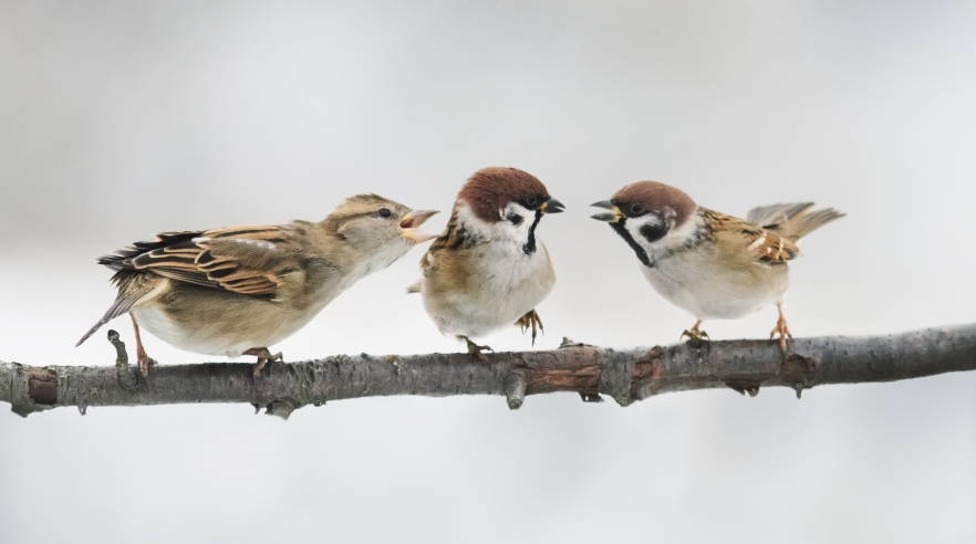 Horoscopul zilei de 24 aprilie