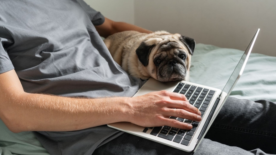 Munca de acasă și sănătatea mintală: între libertate și izolare