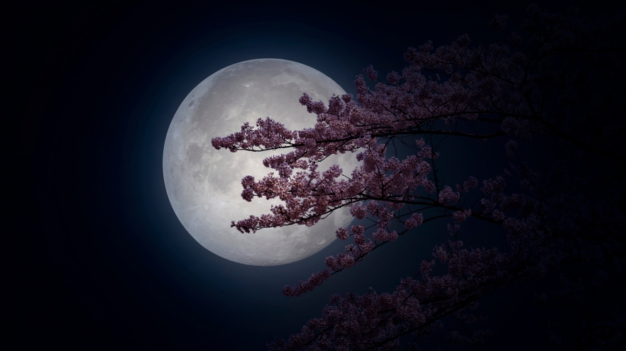 Horoscopul zilei de 2 aprilie