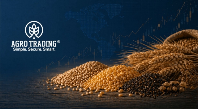 (P) Prețuri cereale 2026: cum citești Bursa AgroTrading înainte de exportul prin Constanța