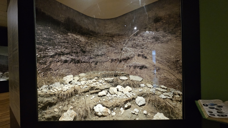 (w882) Diorama, S