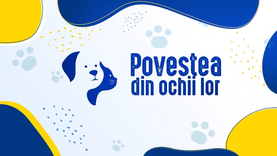 (w882) povestea d