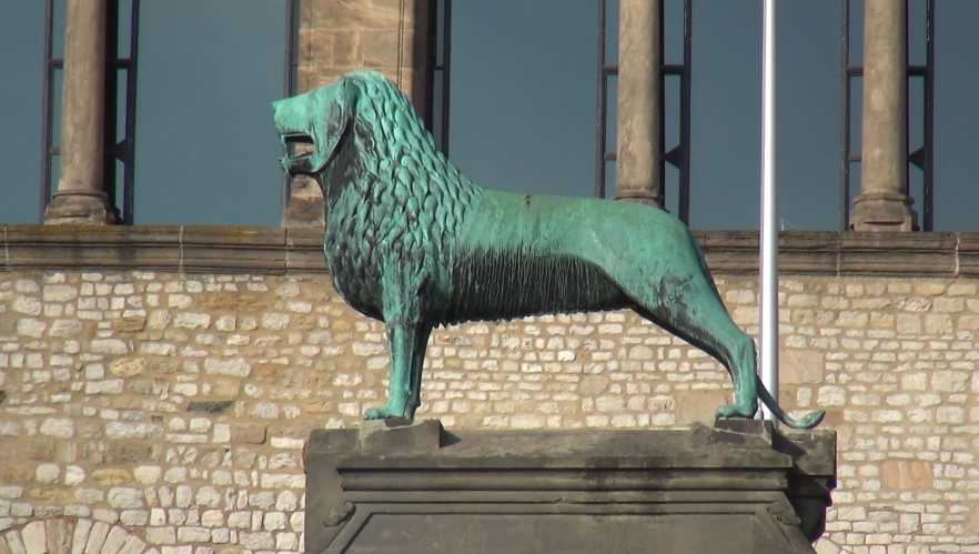busolă capac (w882)