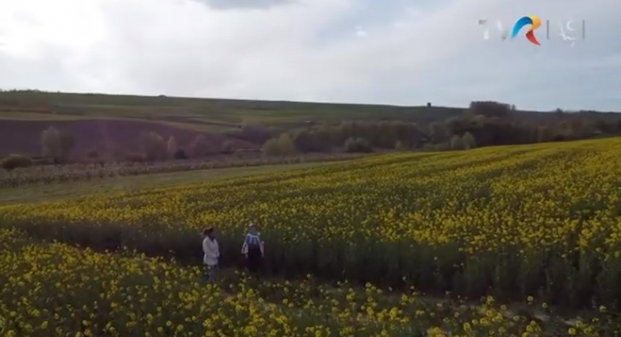 (w882) â€œCÄƒlÄƒt