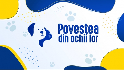 Mituri vs. realitate în dresajul animalelor