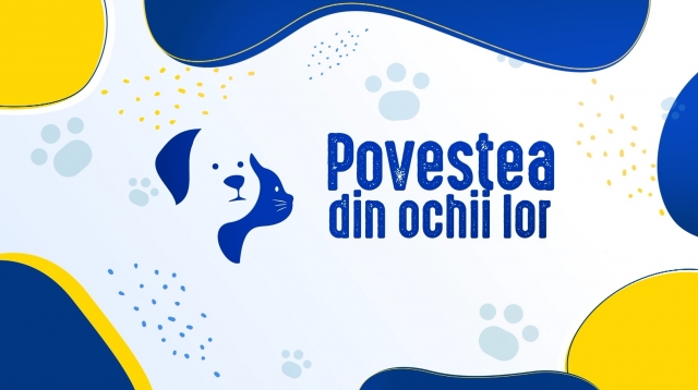 Mituri vs. realitate în dresajul animalelor