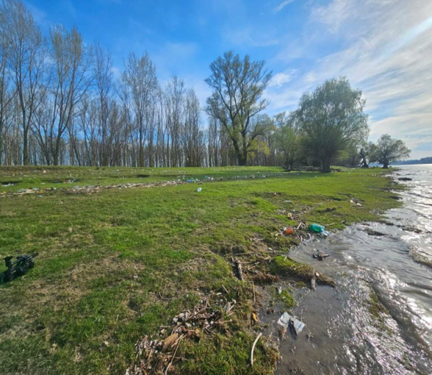 (w882) Deseuri pl
