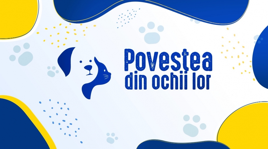 (w882) Povestea d