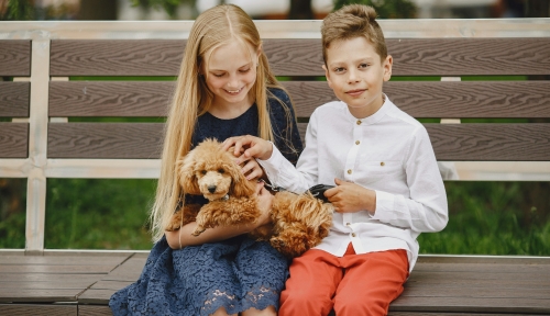Educația om-animale-mediu (One Health) salvează vieți – de la copii și animale, la sănătatea comunității