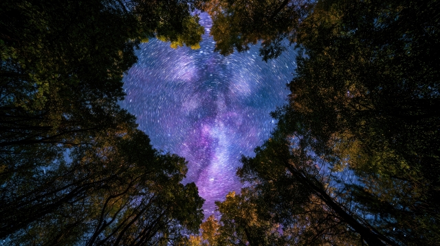 Horoscopul zilei de 31 iulie