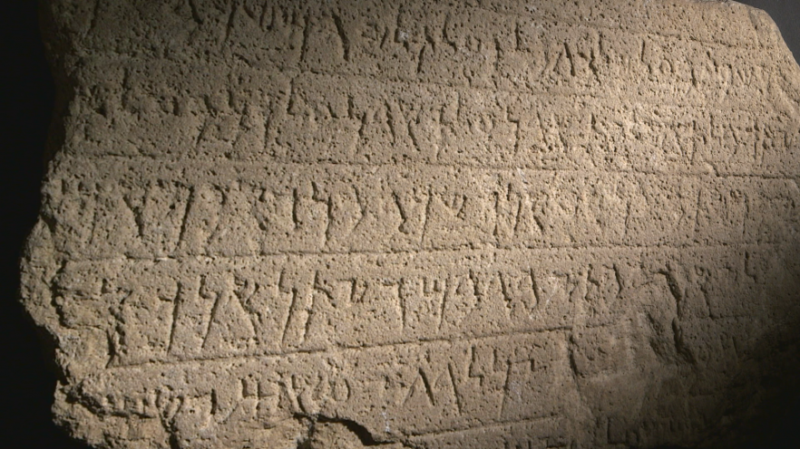 (w882) Alphabet f