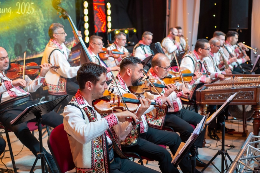 (w882) Orchesta_F