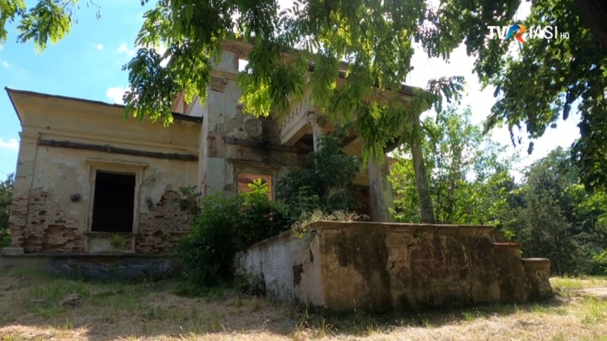 (w882) Lumea de a