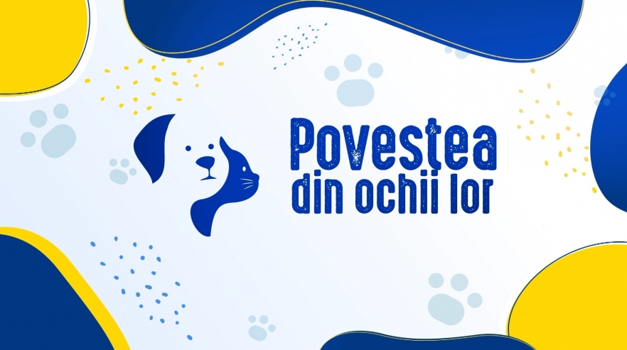 (w882) Dr. ViÈ›Äƒ