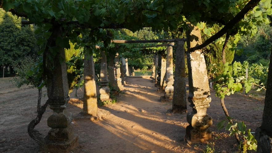 (w882) CASA DE MA