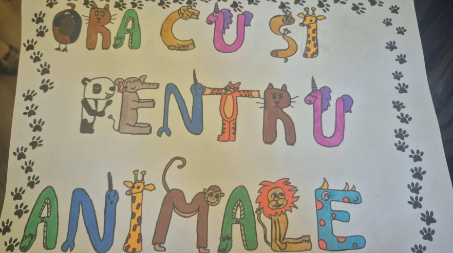 (w882) EducaÈ›ia