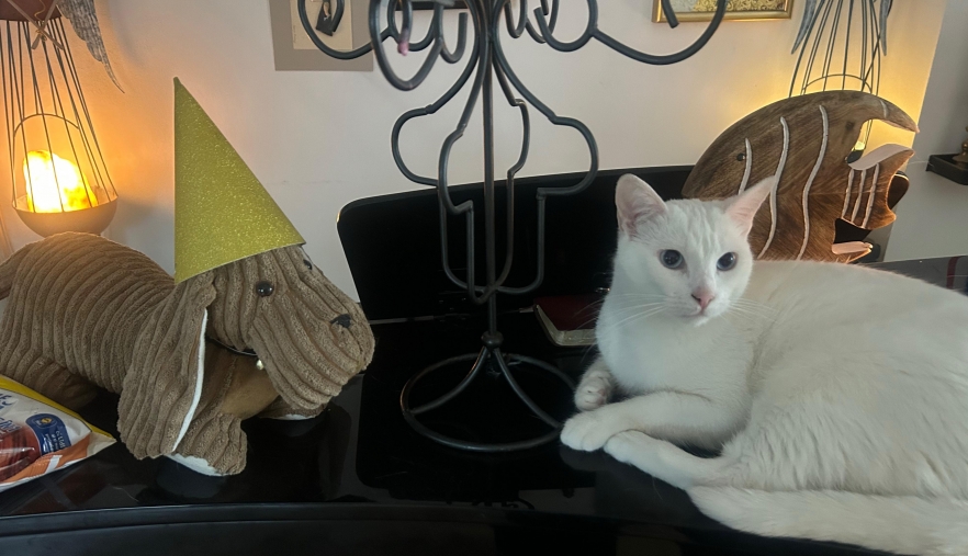 Foto