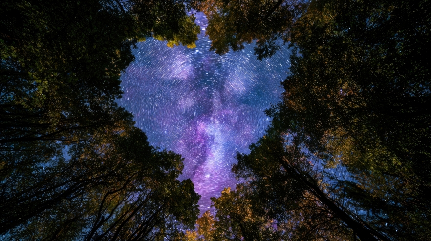 Horoscopul zilei de 31 iulie