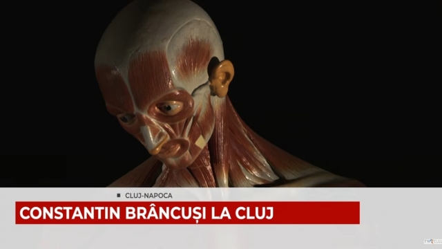 Constantin Brâncuș: Anatomia Formei și Spiritului Artistic | VIDEO