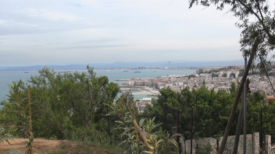 (w882) Alger oras