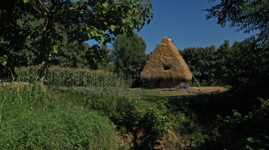 Foto