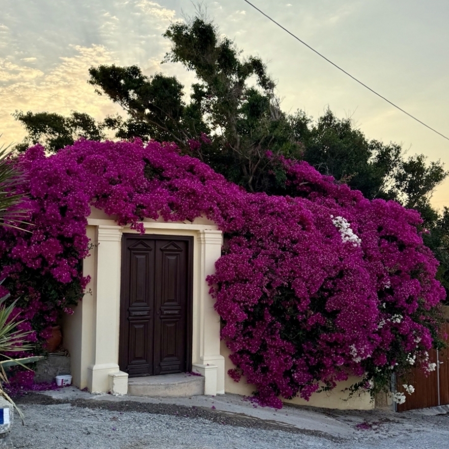 (w882) Kasos, far