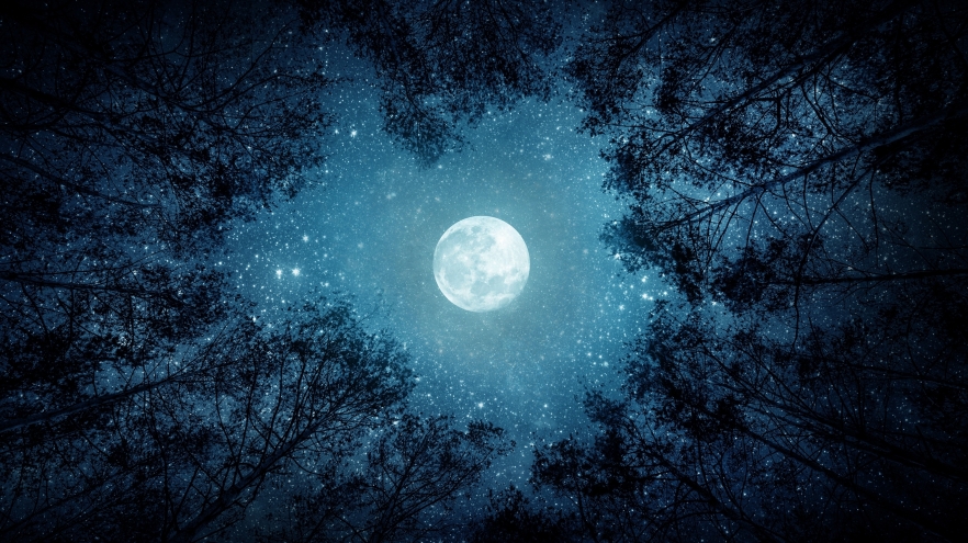 Horoscopul zilei de 26 septembrie