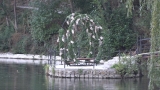 Lacul Kleptuza / TVR 2