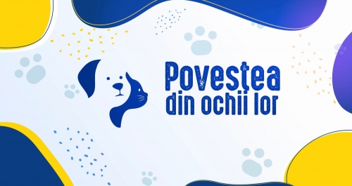 Despre eleganță și frumusețe felină