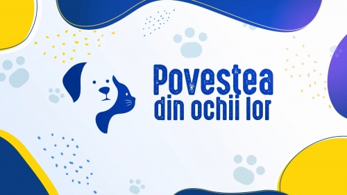 Povestea din ochii lor. Sezon nou