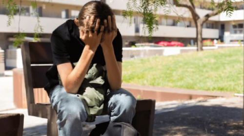 Valul de violență din școli: De la vulnerabilitatea adolescenței la radicalizarea în mediul digital