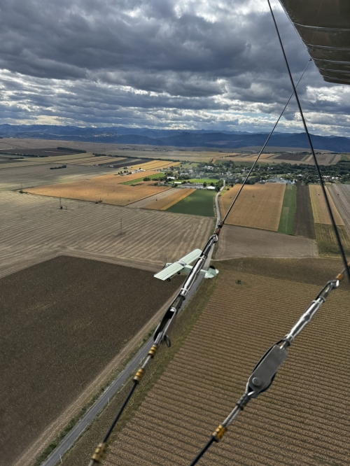 (w500) Zbor_cu Ex