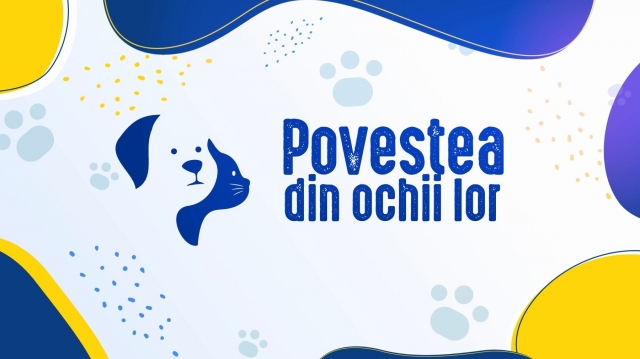 Povestea din ochii lor. Sezon nou