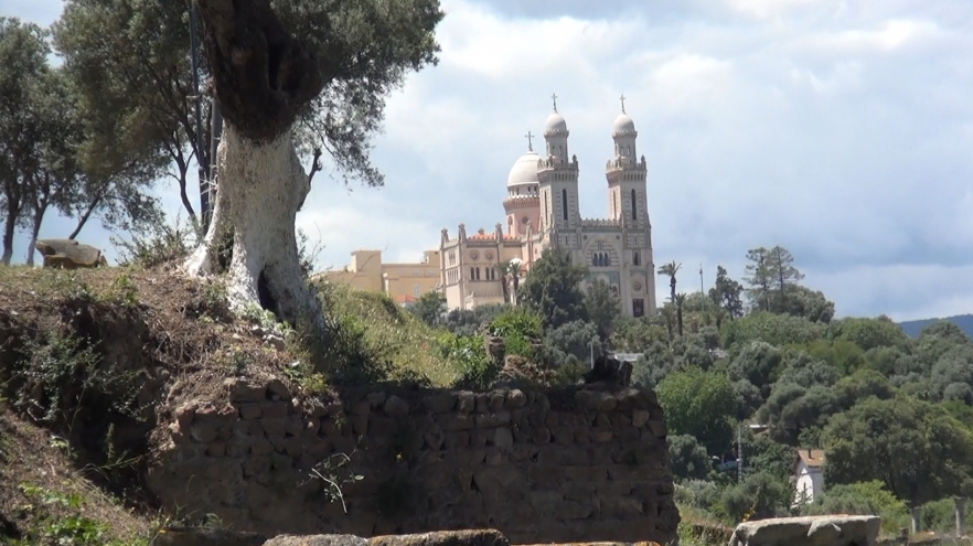 (w882) Annaba Sf.