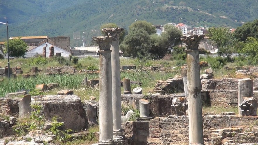 (w882) Annaba sit