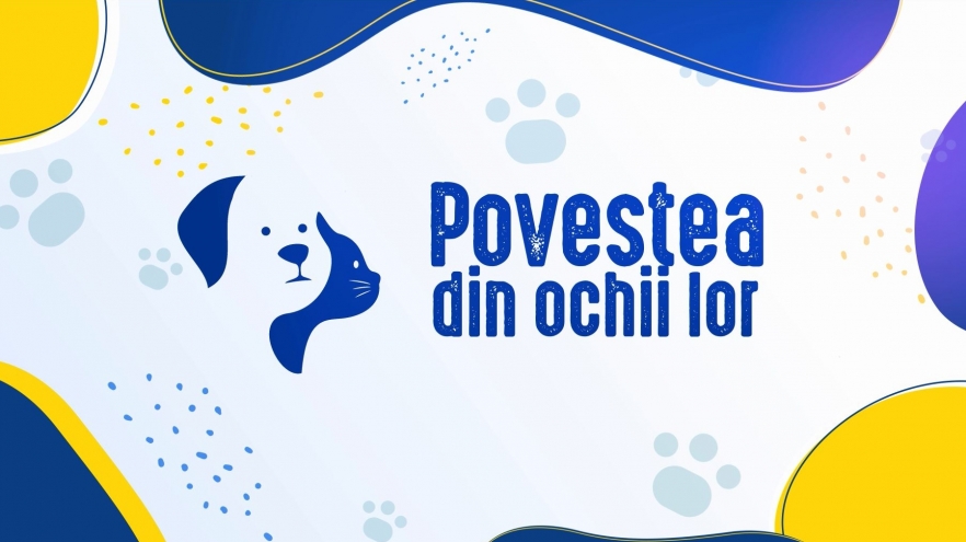 Povestea din ochii lor