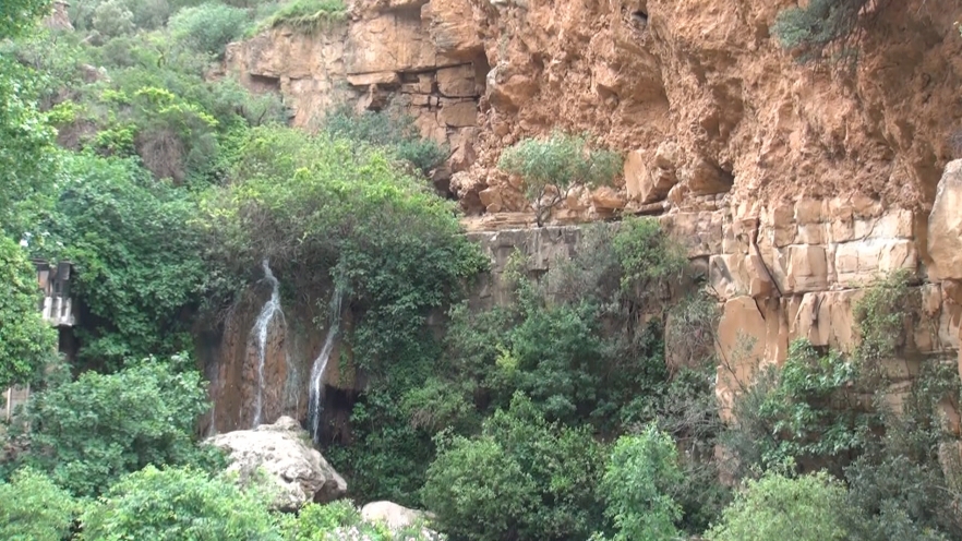 (w882) Tlemcen ca